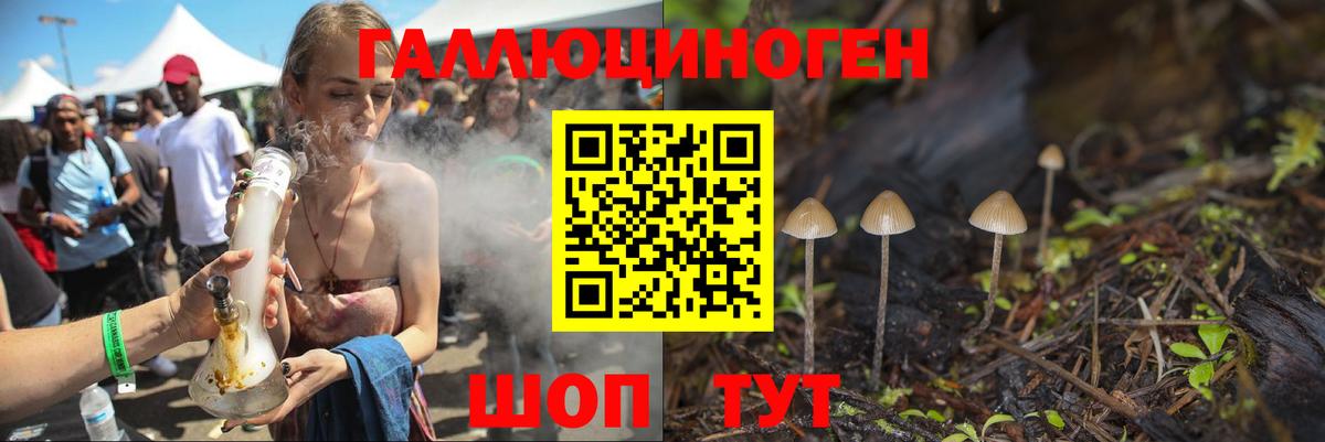 Галлюциногенные грибы Psilocybine cubensis Сердобск